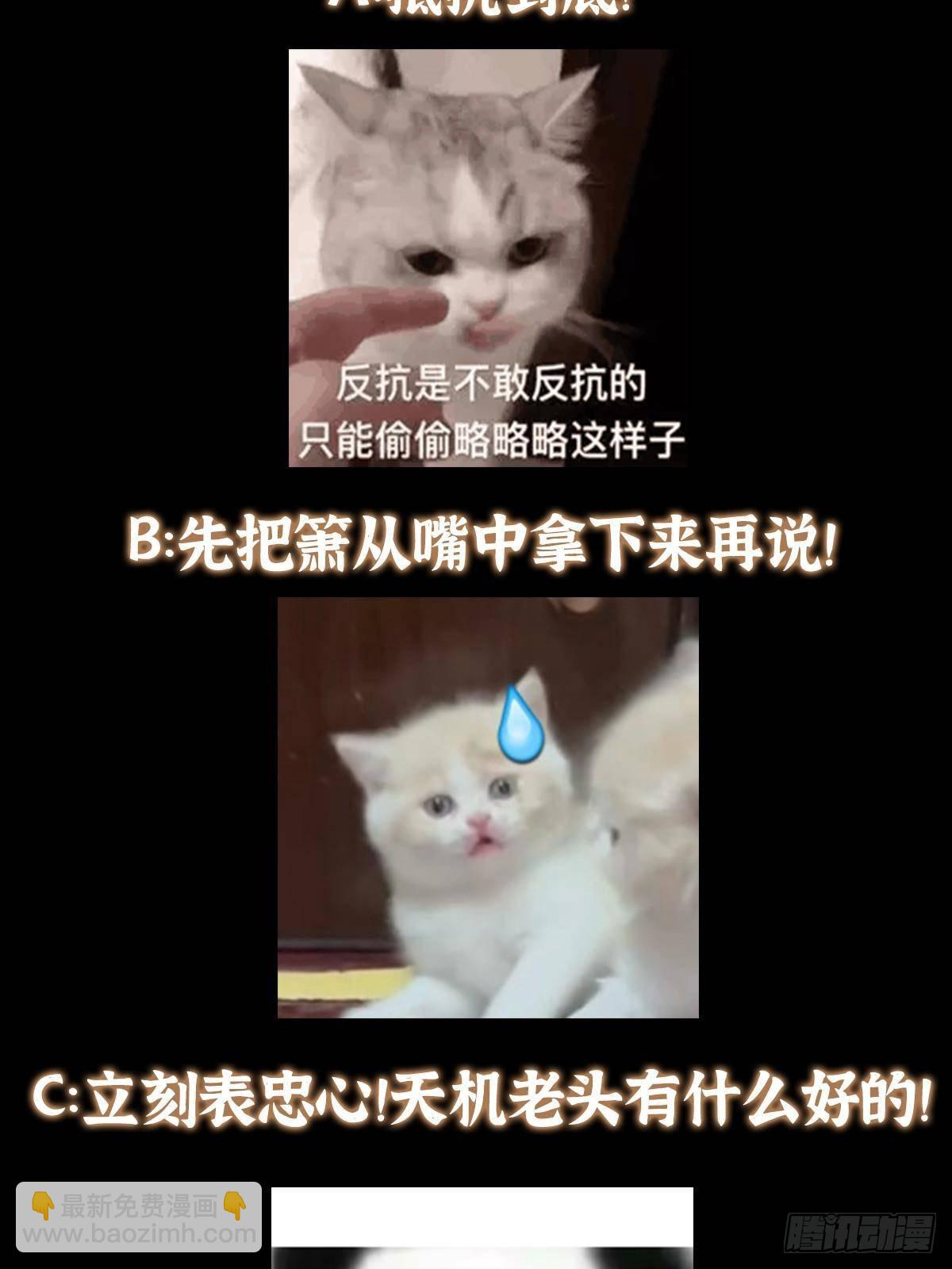 84.jpg