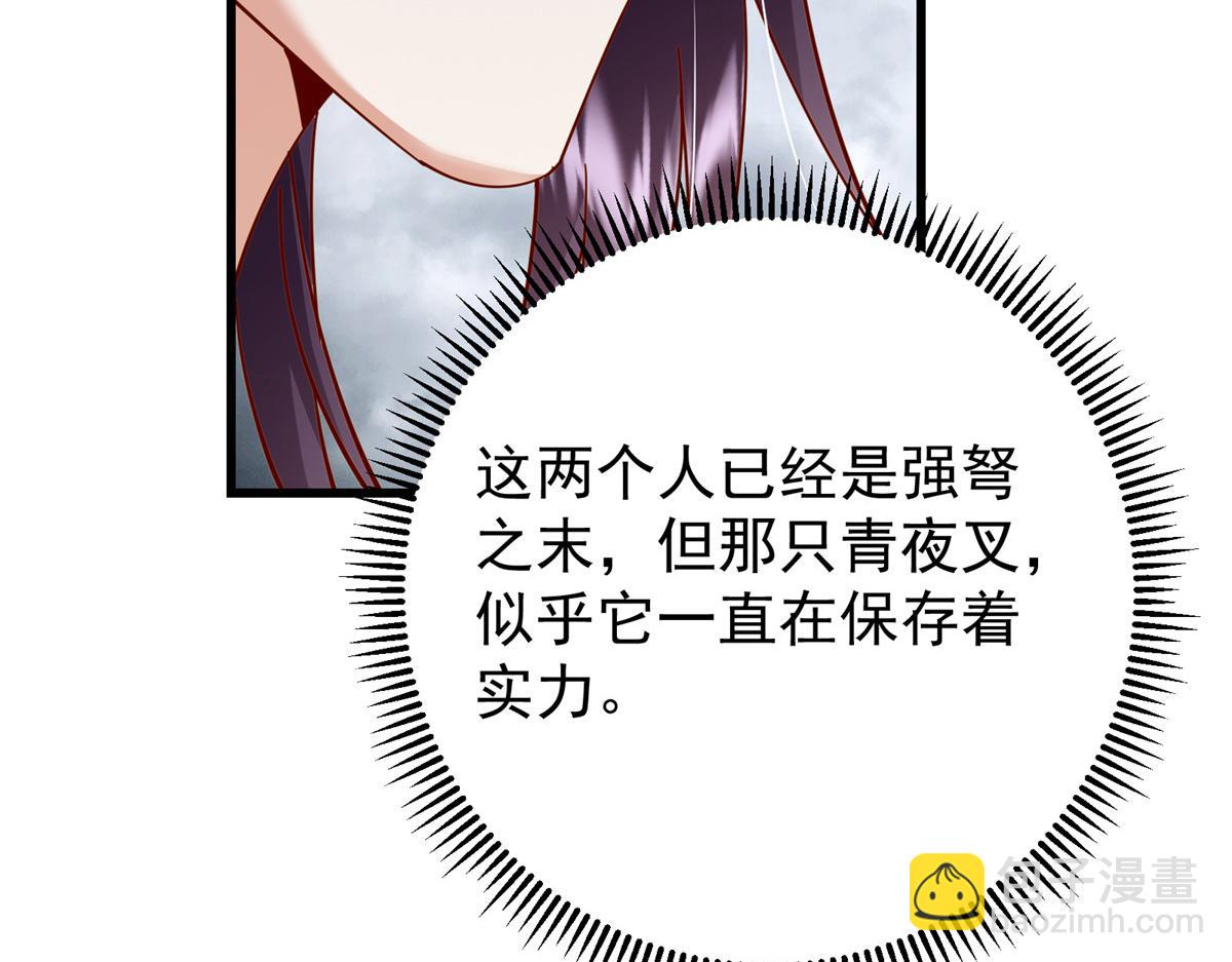 95.jpg