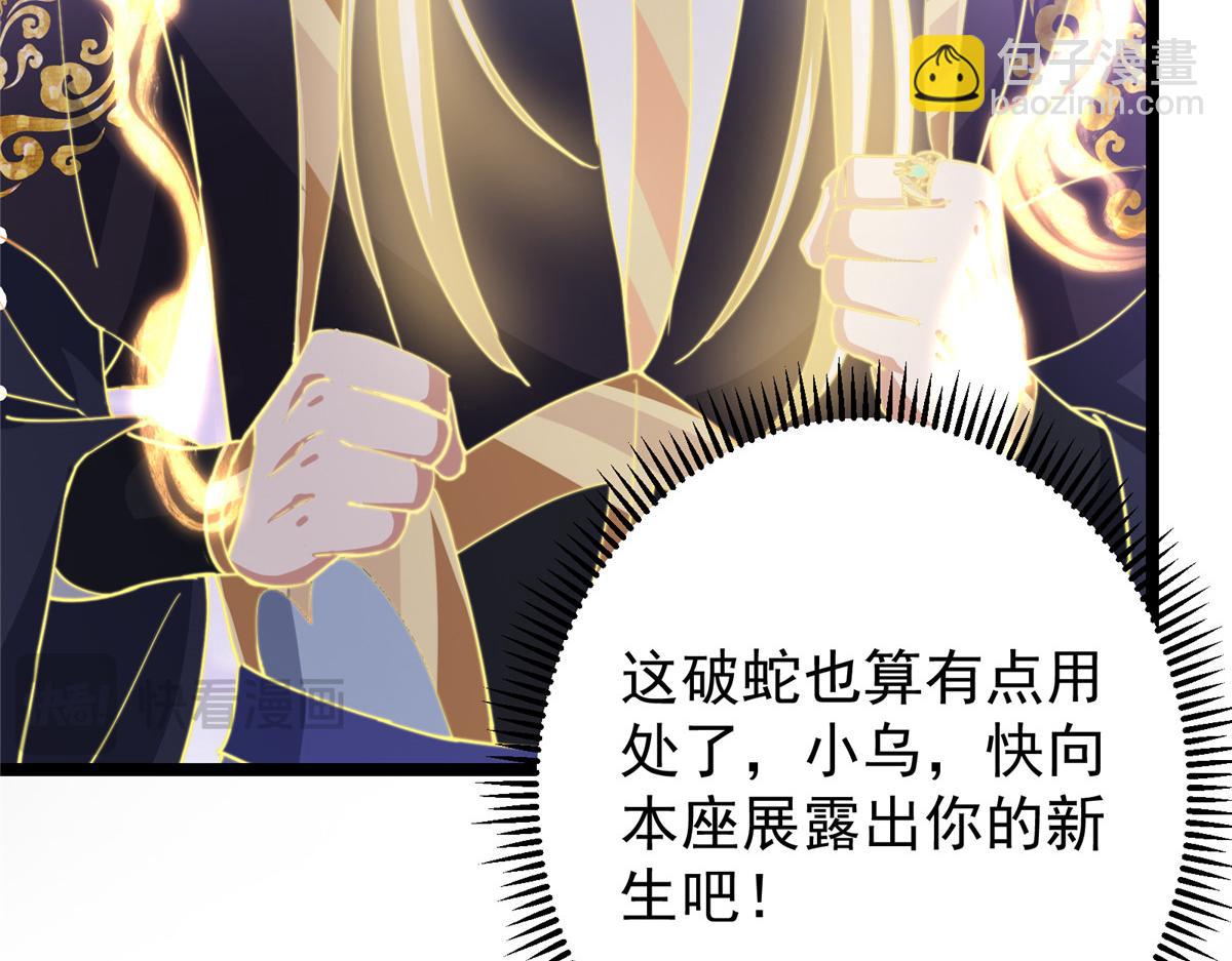 掌門低調點 - 499 楚伊人的純愛之域(1/5) - 1