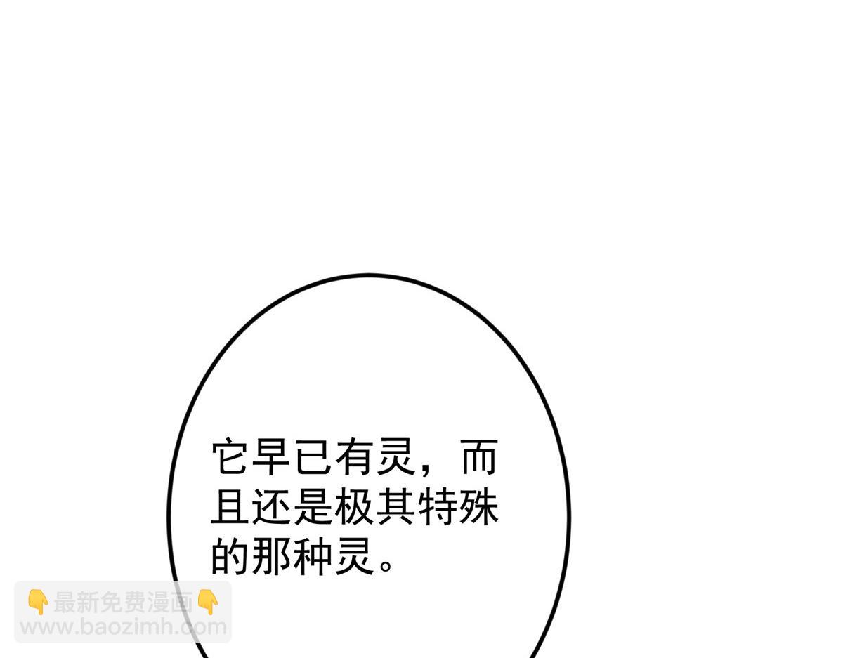 掌門低調點 - 501 哪壺不開提哪壺呀！(1/4) - 3