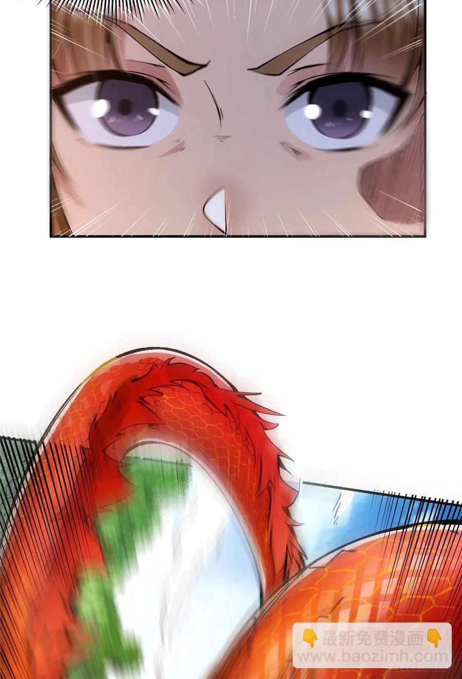 47.jpg