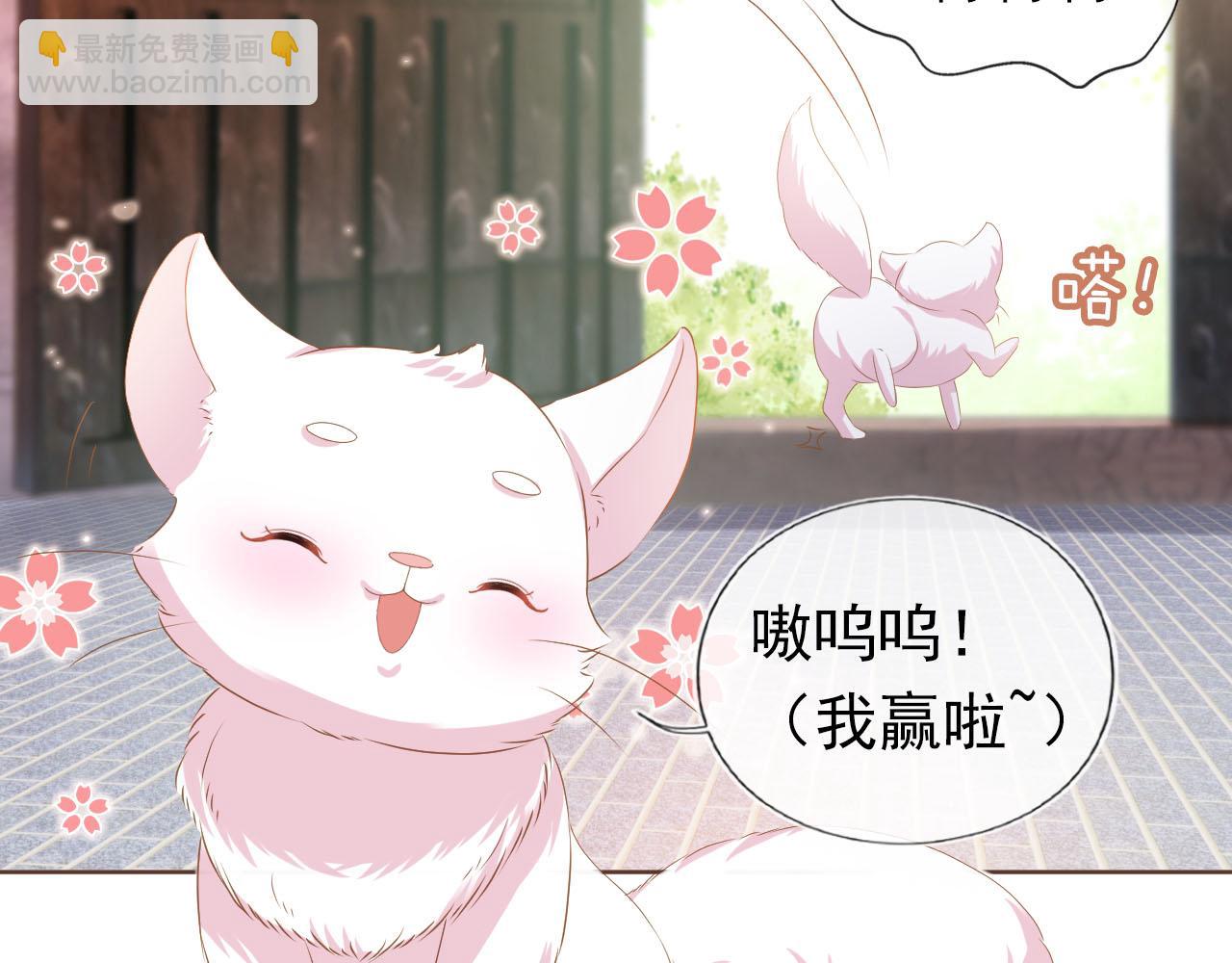 第62话 猫猫脸(1/3)-第64话