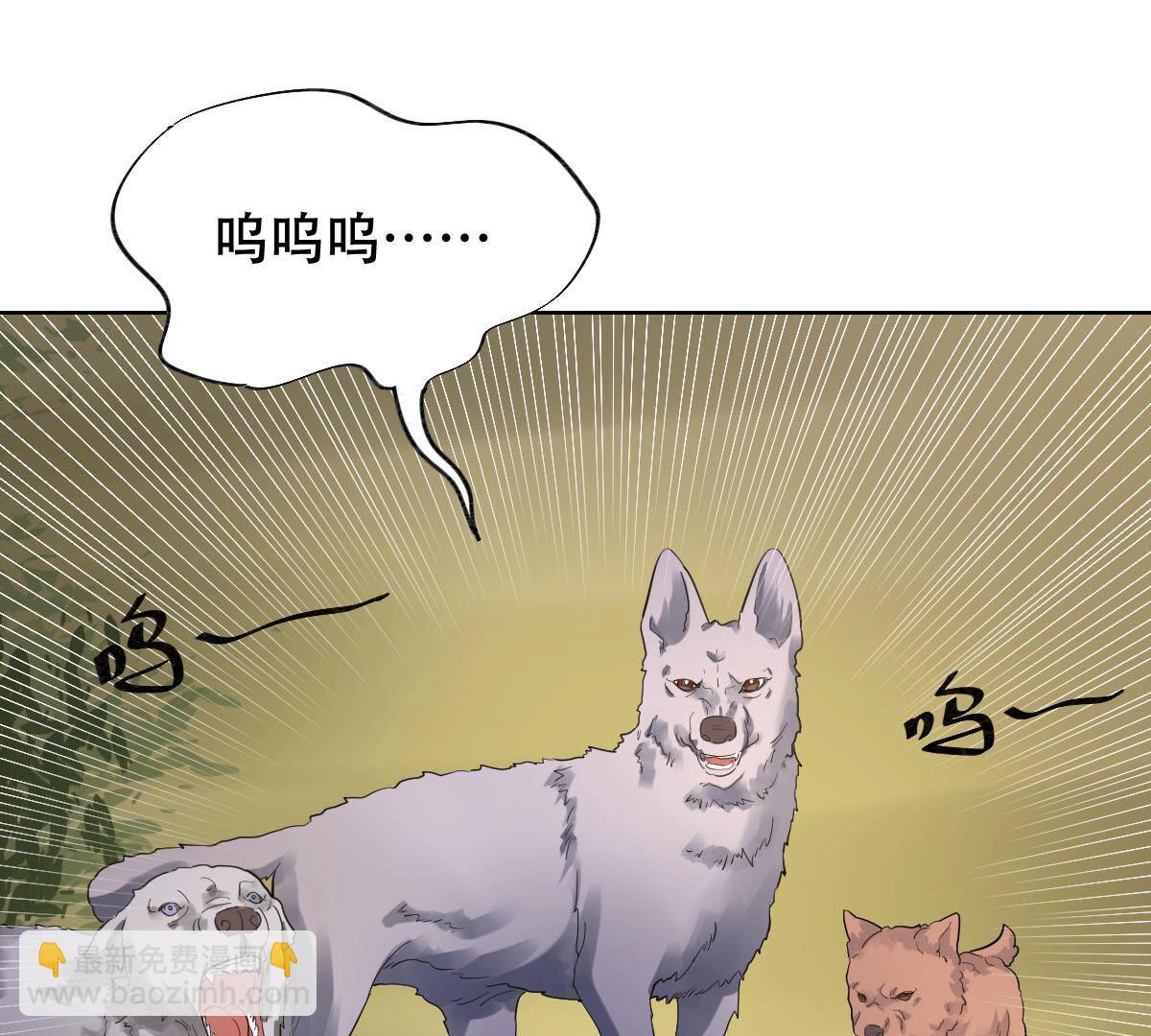 戰神狂妃：鳳傾天下 - 106 第105話 再遇紅衣男子(1/2) - 4