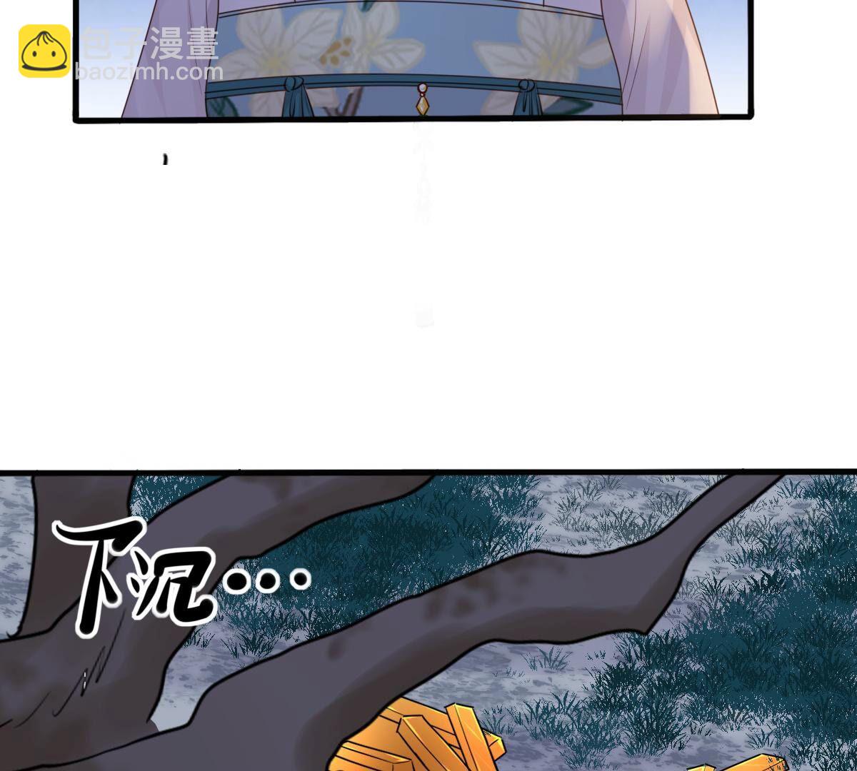 戰神狂妃：鳳傾天下 - 136 第135話 錢！都是錢吶！(1/2) - 5