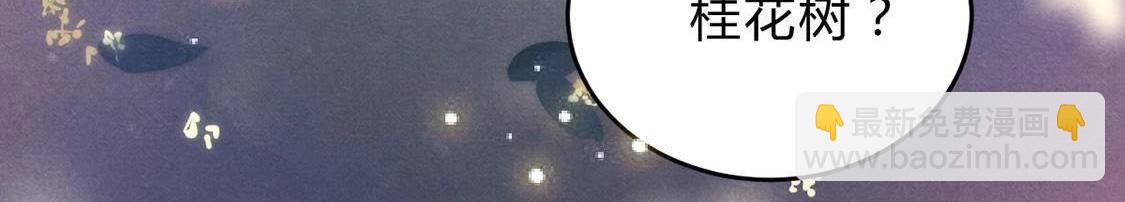 戰神狂妃：鳳傾天下 - 第7話 桂花樹上的陰謀(2/3) - 5