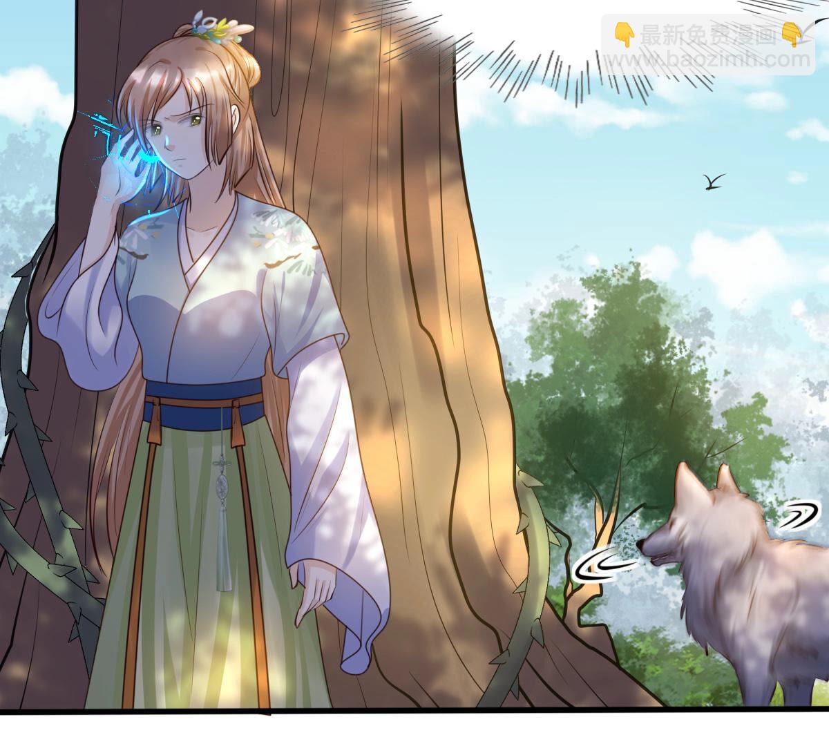 戰神狂妃：鳳傾天下 - 92 第91話 再行險招(2/2) - 1