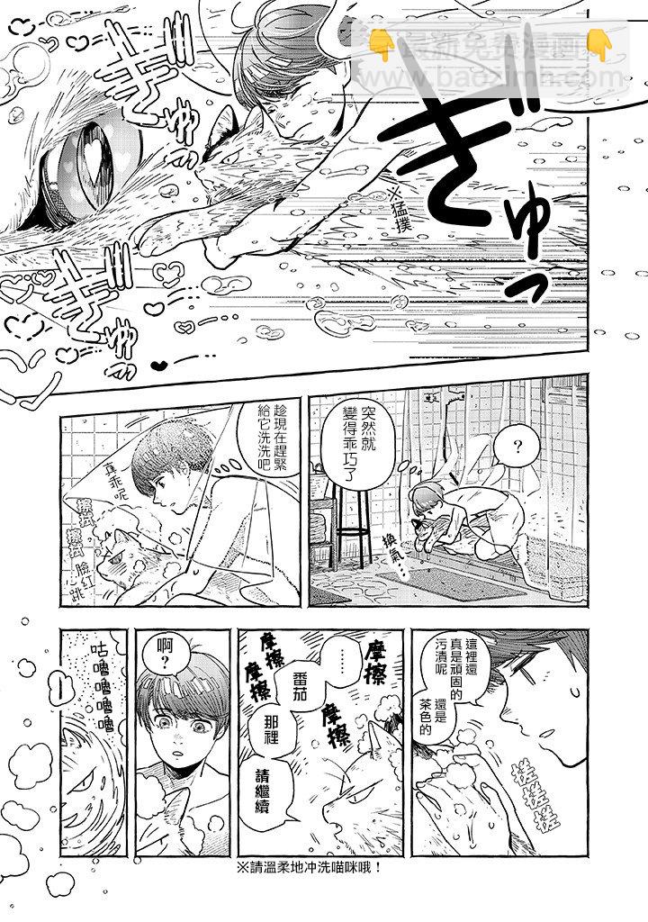朝思暮想的貓與番茄 - 第2.1話 - 3
