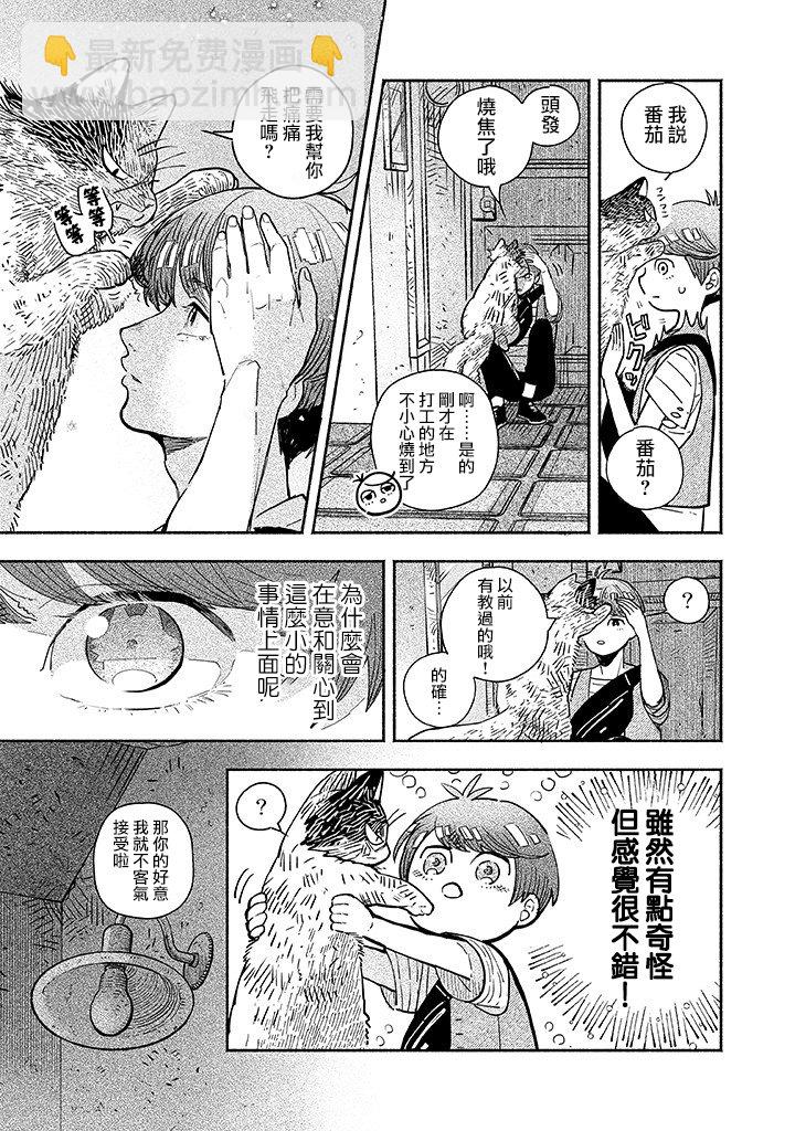 朝思暮想的貓與番茄 - 第2.1話 - 3