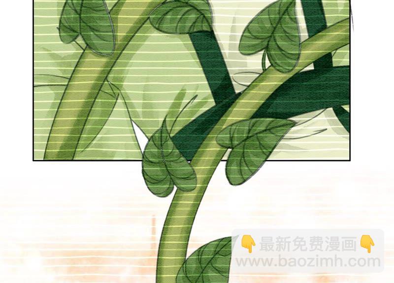 第19话 黑衣人(1/3)-第20话