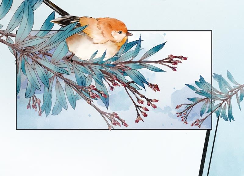 第5话 猫科动物的领地意识(1/4)-第6话