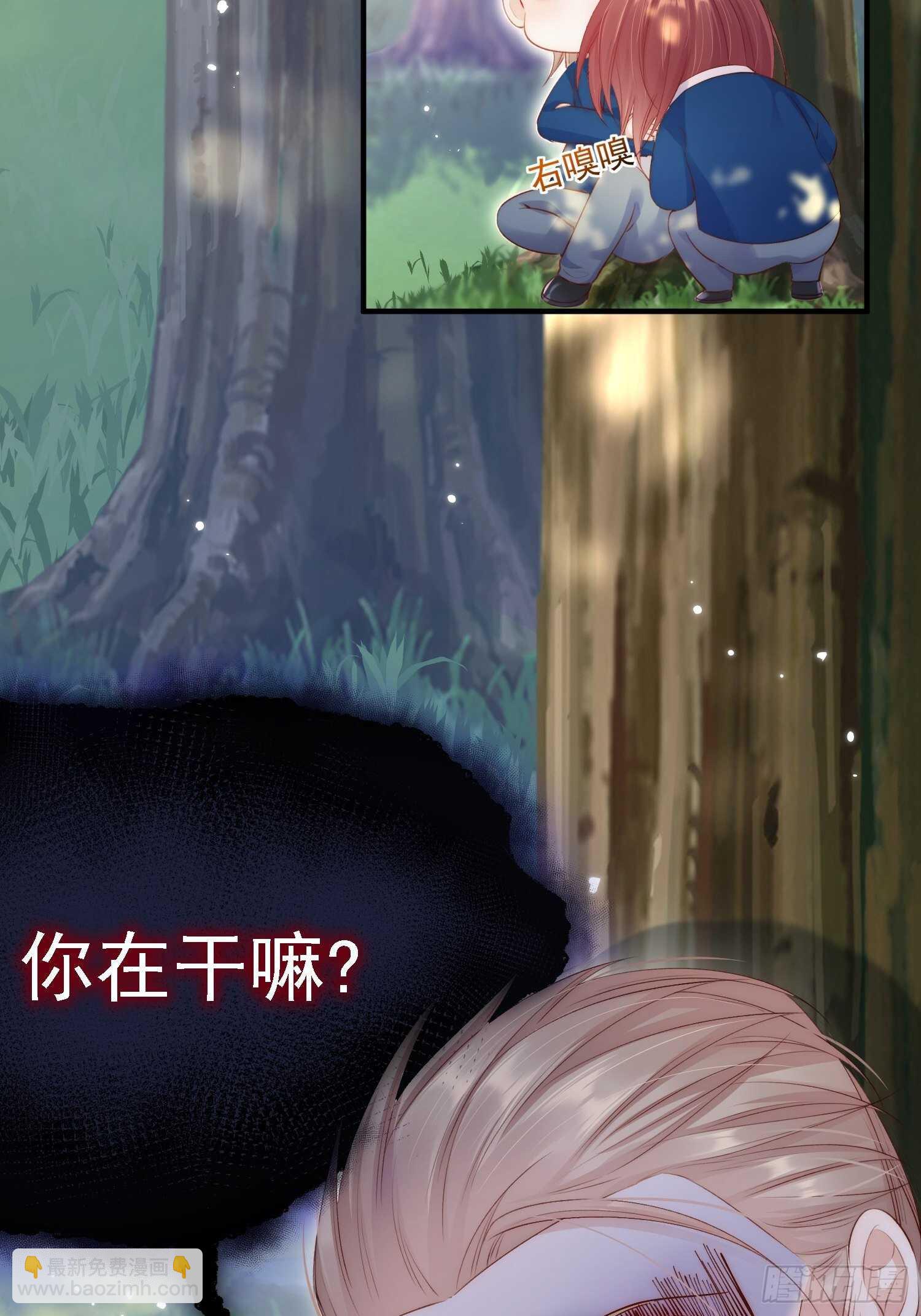 第39话 看我大翅膀-第40话