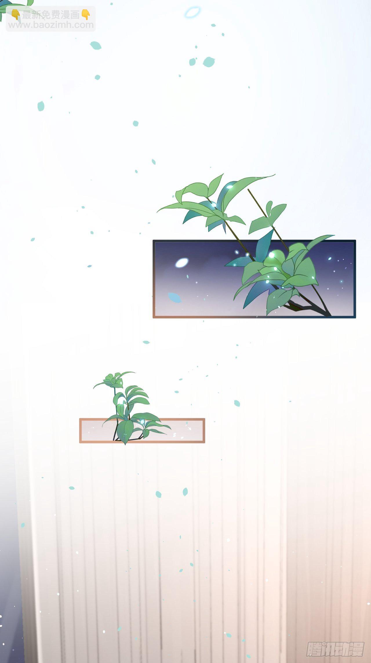 第77话 试探与选择-第78话