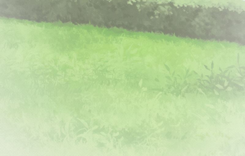 第98话 我不能跟你走-第100话