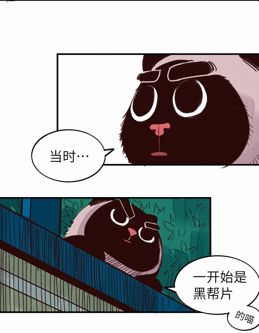 010 被表白了-第10话