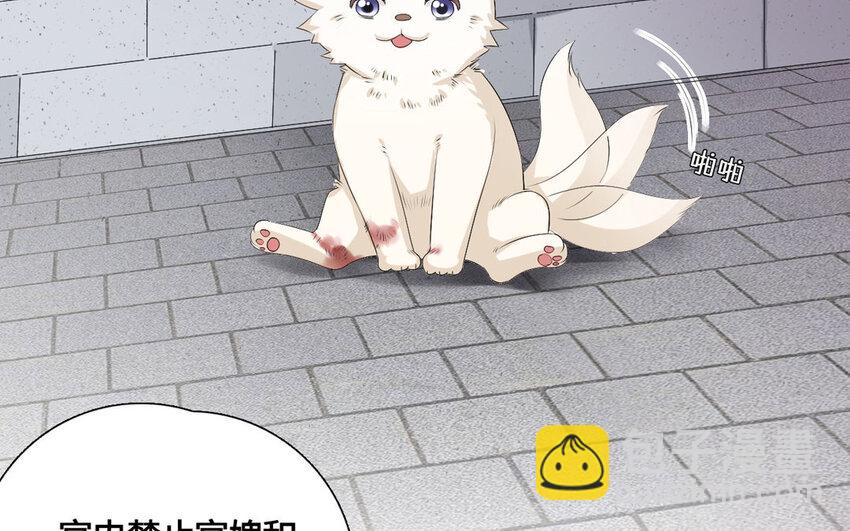 32 第31话 阿雪(1/2)-第32话