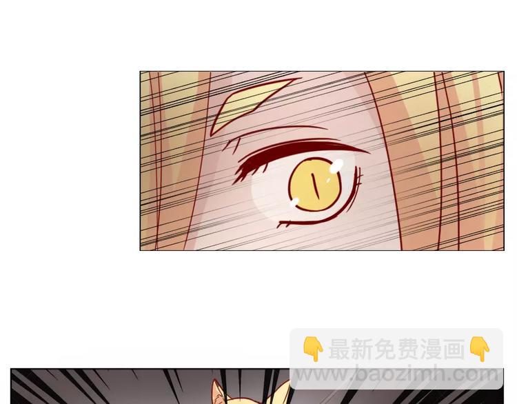 番外篇 不能再失去-第50话