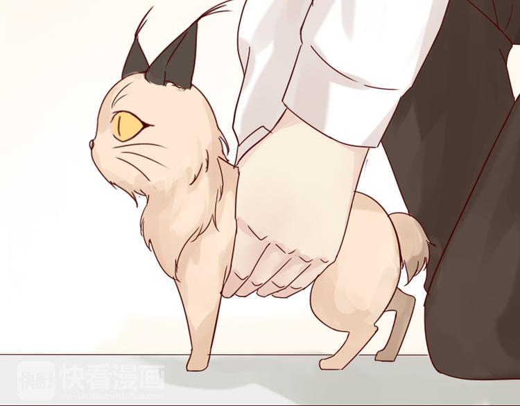 第9话 如何赶走那个家伙(1/2)-第10话