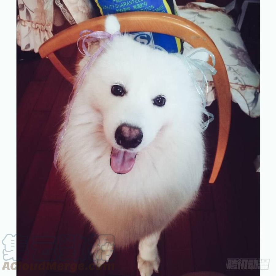 這個狐仙有點兇 - 天上掉下個小仙女~(2/2) - 5