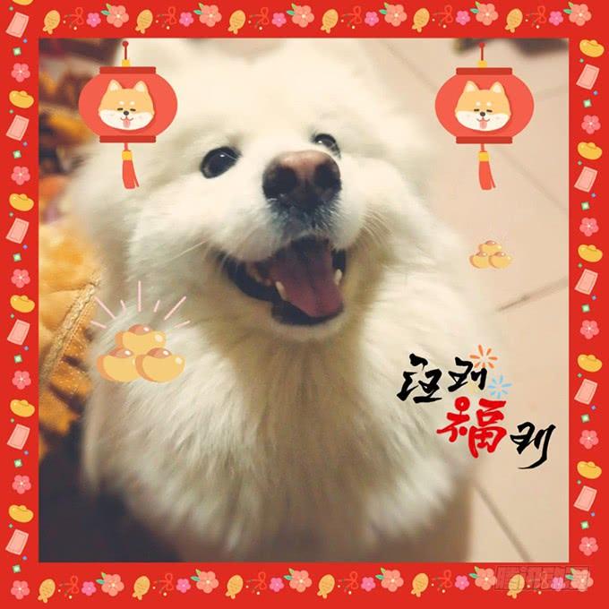 這個狐仙有點兇 - 嗷嗷嗷！你們幹啥了！(2/2) - 4