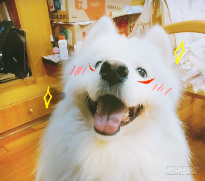 這個狐仙有點兇 - 你放心吧~師兄聽我的。(2/3) - 1