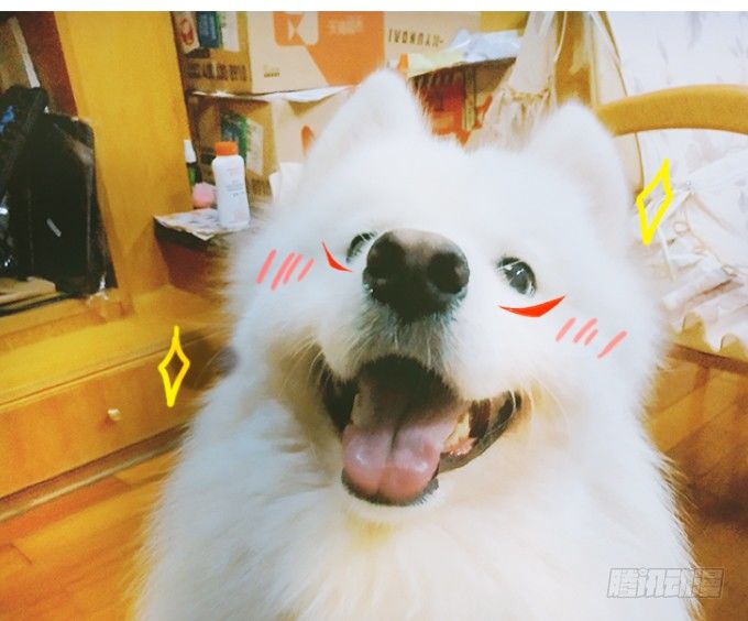 這個狐仙有點兇 - 那麼你替他還債吧！(2/2) - 4