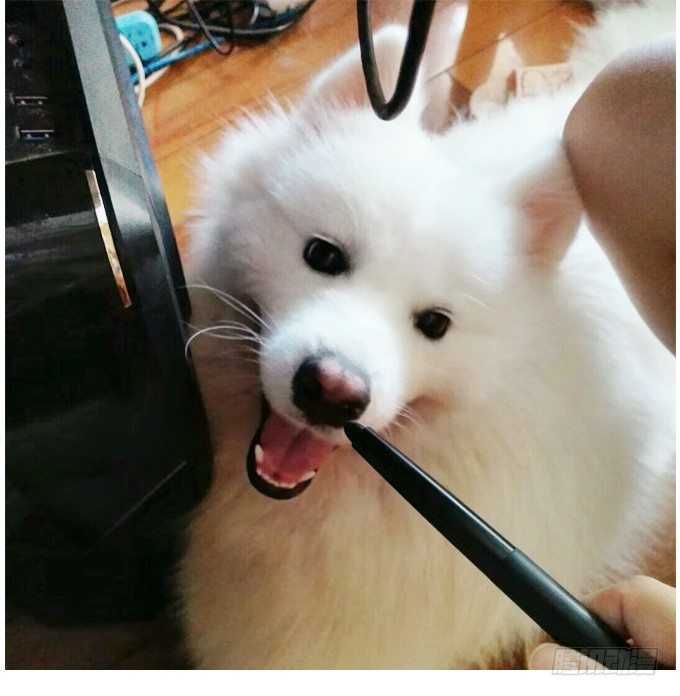 這個狐仙有點兇 - 你、你要幹嘛？！(2/2) - 6