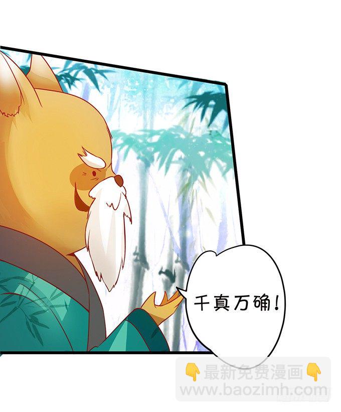 這個狐仙有點兇 - 小七成爲新娘吧~(1/2) - 5