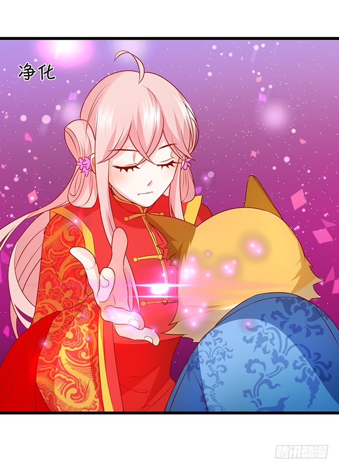 這個狐仙有點兇 - 離修霸氣搶親！(1/2) - 4