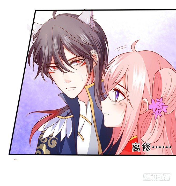 這個狐仙有點兇 - 離修霸氣搶親！(2/2) - 5