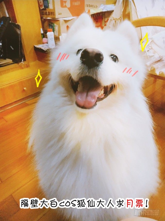 這個狐仙有點兇 - 離修霸氣搶親！(2/2) - 4