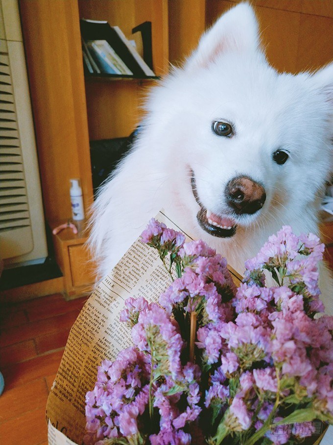 這個狐仙有點兇 - 什麼！？雙修？(2/2) - 2