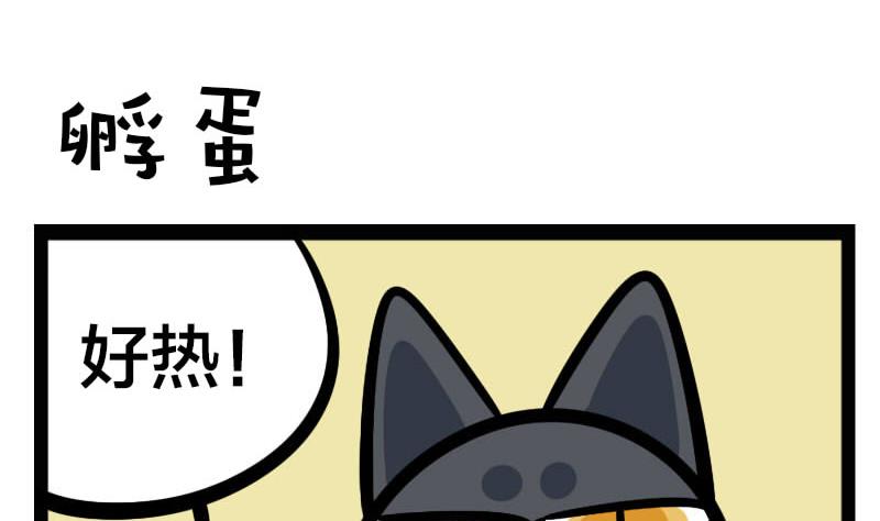 第26话 孵蛋-第40话