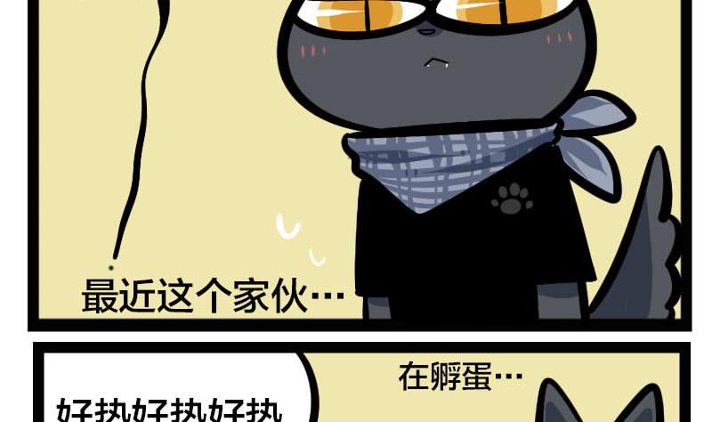 第26话 孵蛋-第40话