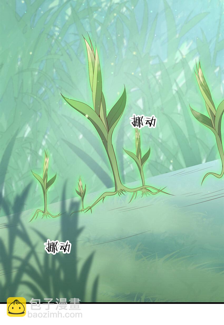 050 月溪谷仙草-第52话