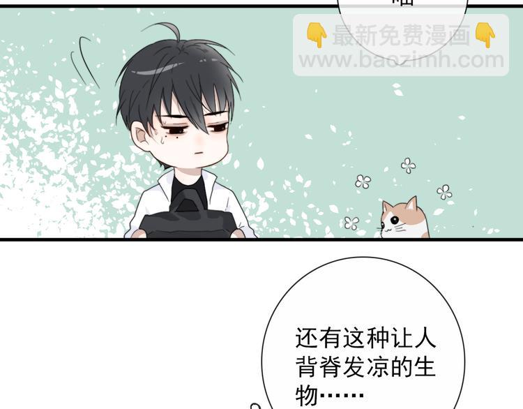 第4话  同性相吸就离谱(1/2)-第4话