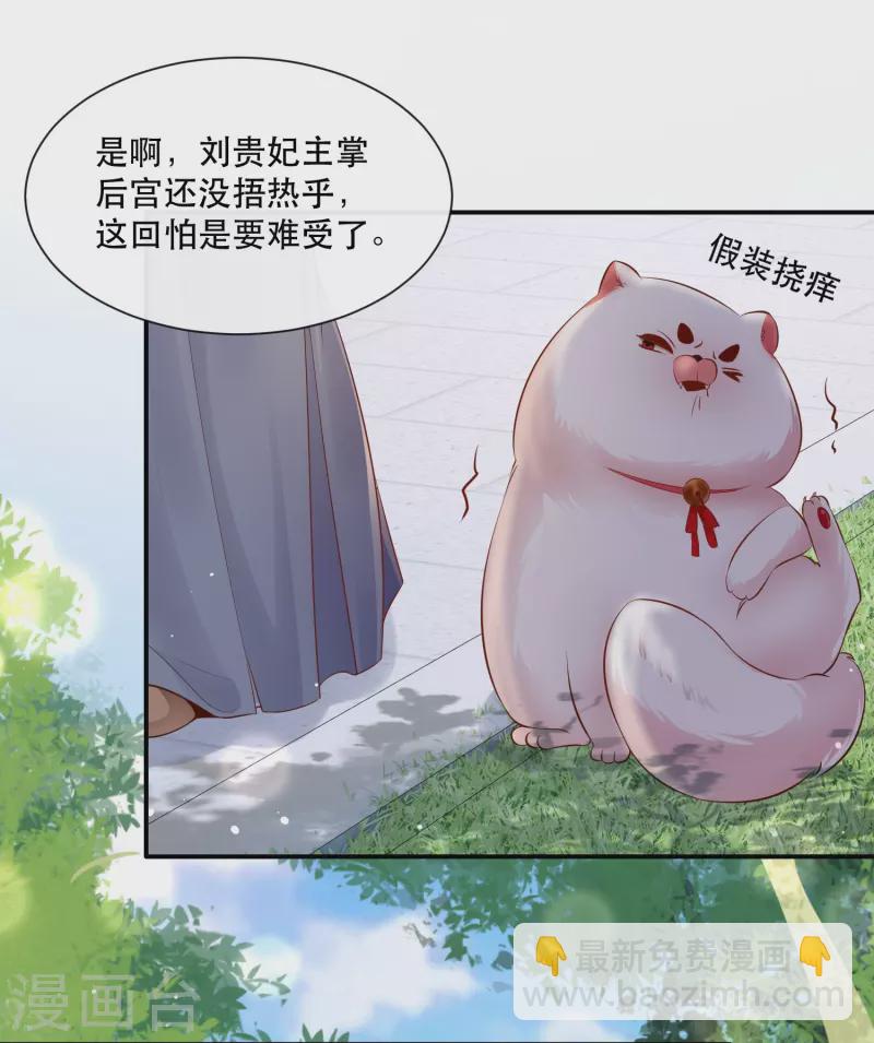 第141话 寡男人想你了-第150话