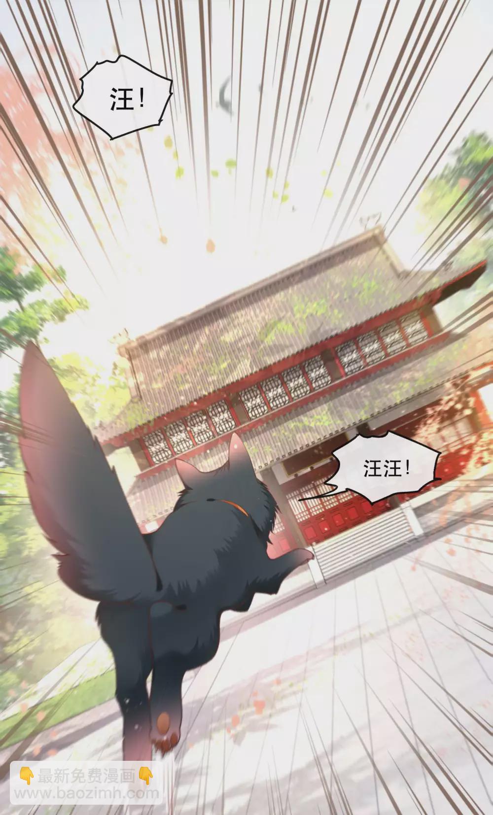 第54话 学会给主人捡东西了！-第60话