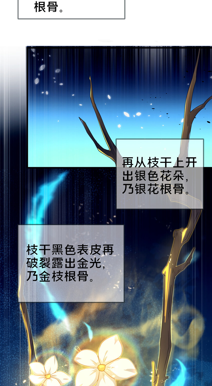 11 考核(1/2)-第12话