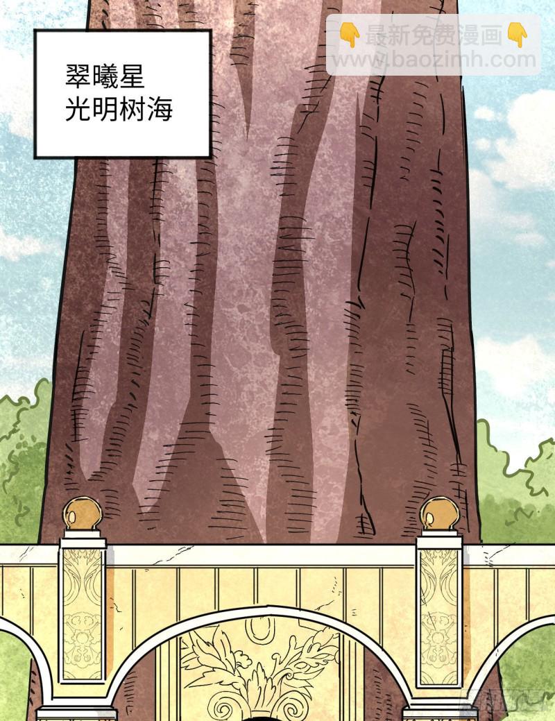 101 登陆翠星(1/2)-第102话