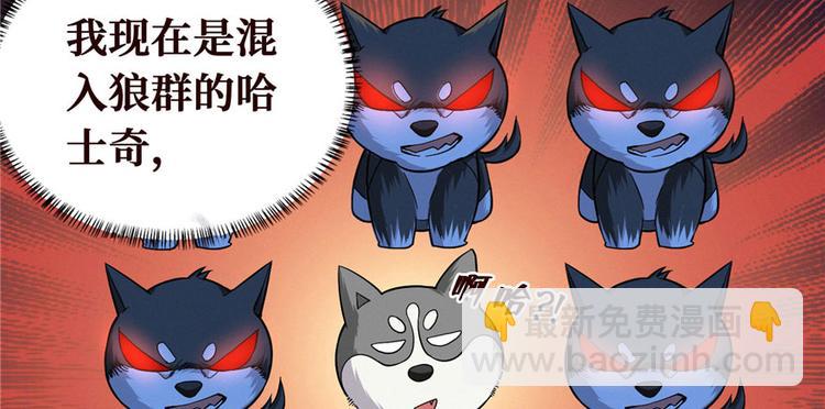 第23话 混入狼群的哈士奇(1/3)-第24话