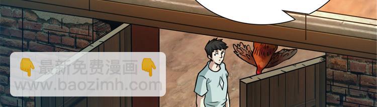 第49话 消失的鸡场老板和寡妇(1/2)-第50话
