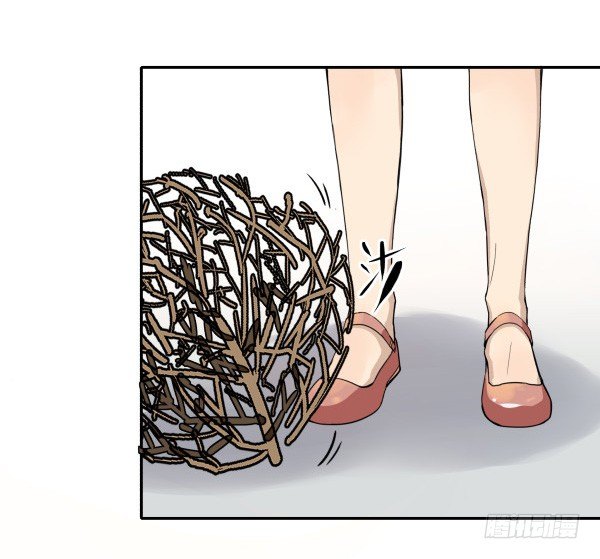 01 薄片(1/2)-第2话