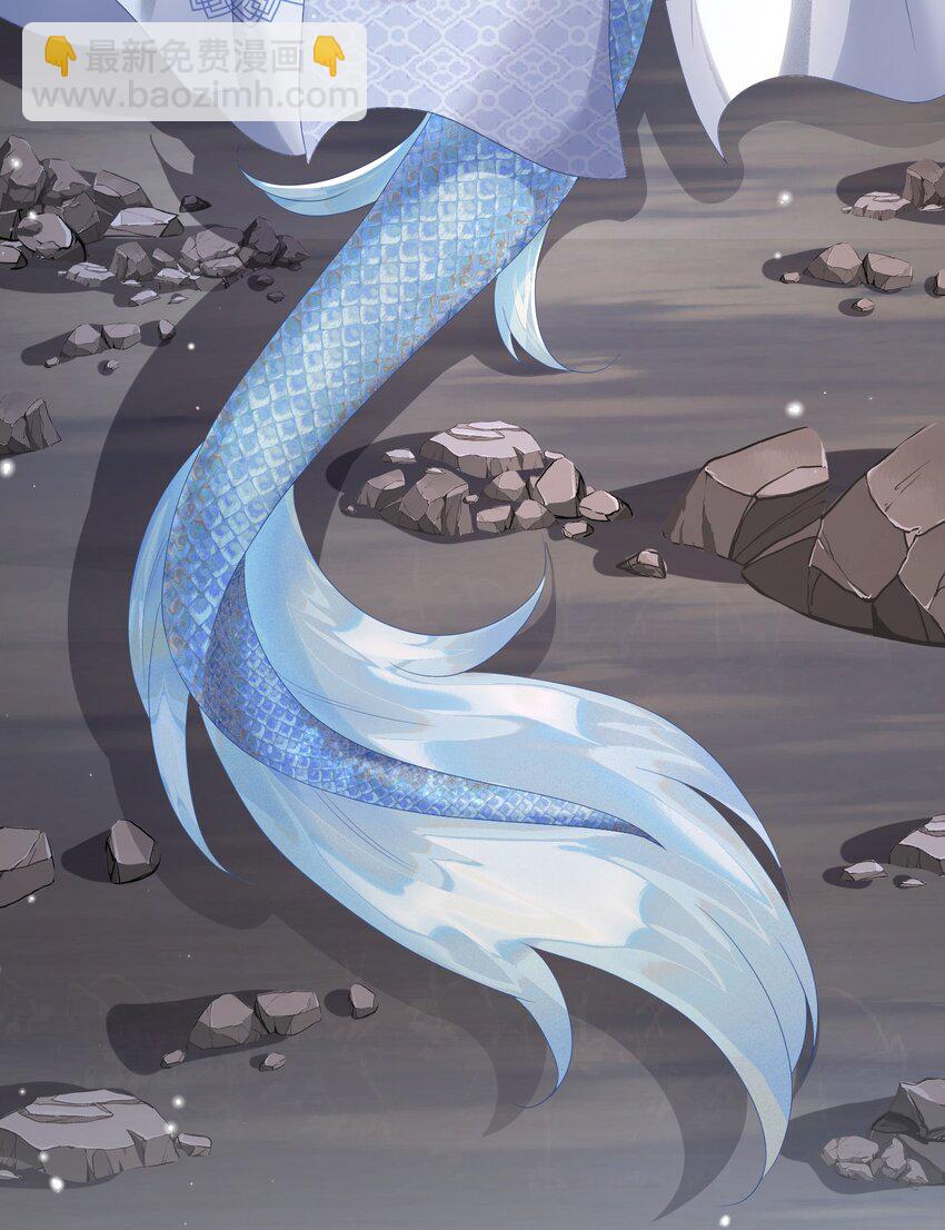 002 太美了！太惨了！(1/2)-第2话