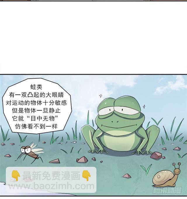 半狂化(1/2)-第16话