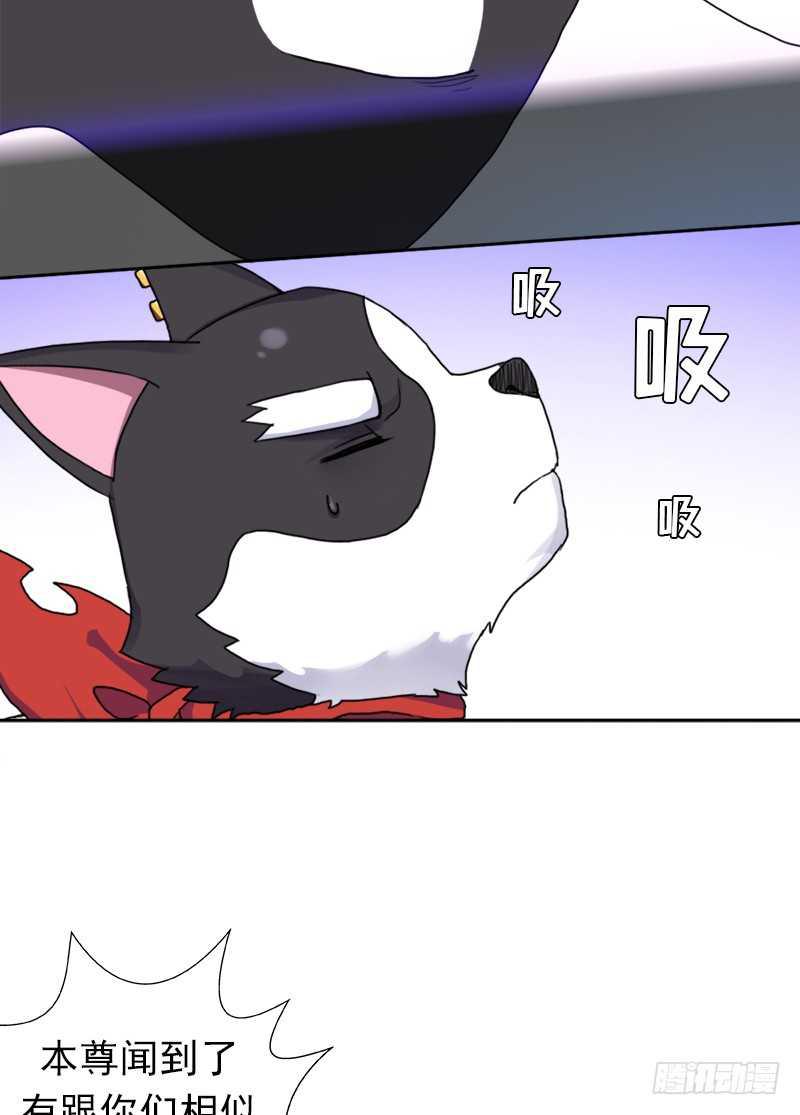 闯入强盗窝(1/2)-第54话