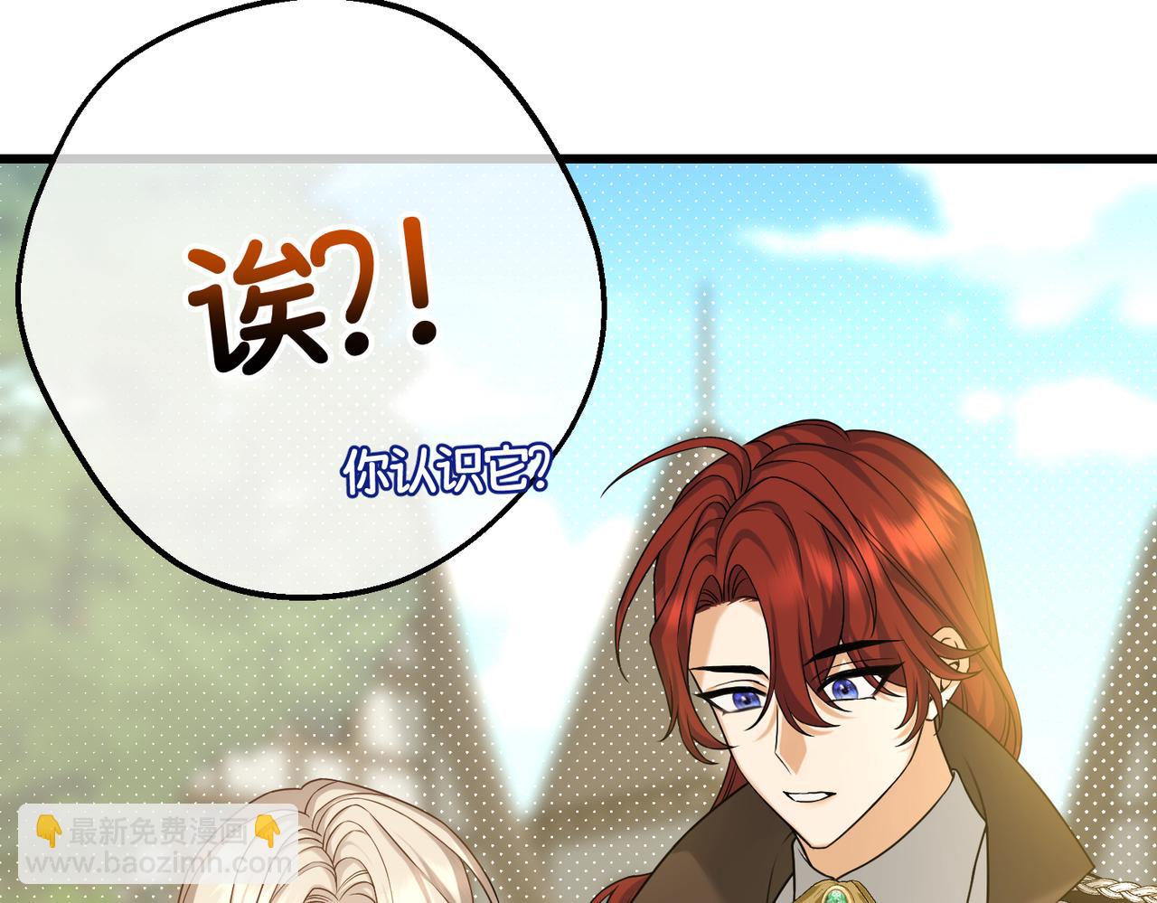 第26话 猫头鹰怪奇铺(1/4)-第28话