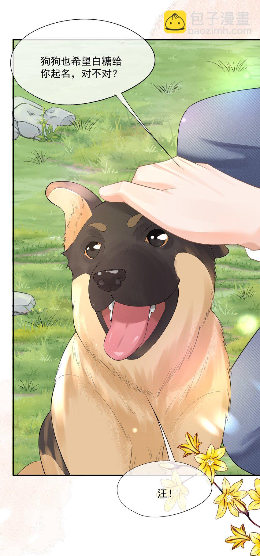 第12话 狗狗就叫黑糖吧~(1/2)-第12话