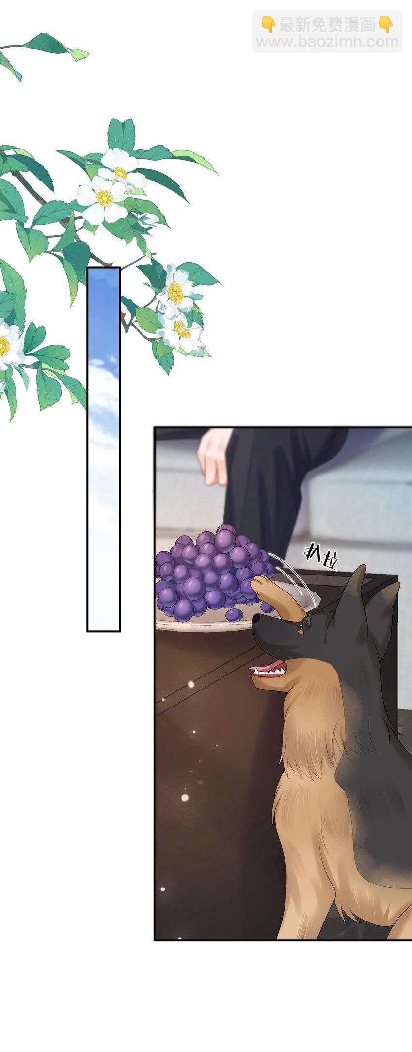 第42话 桃子汽水-第42话