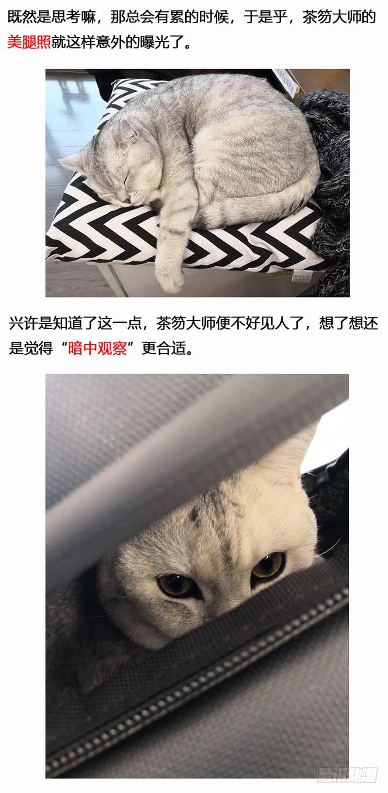 134 镜花天（中）-第136话