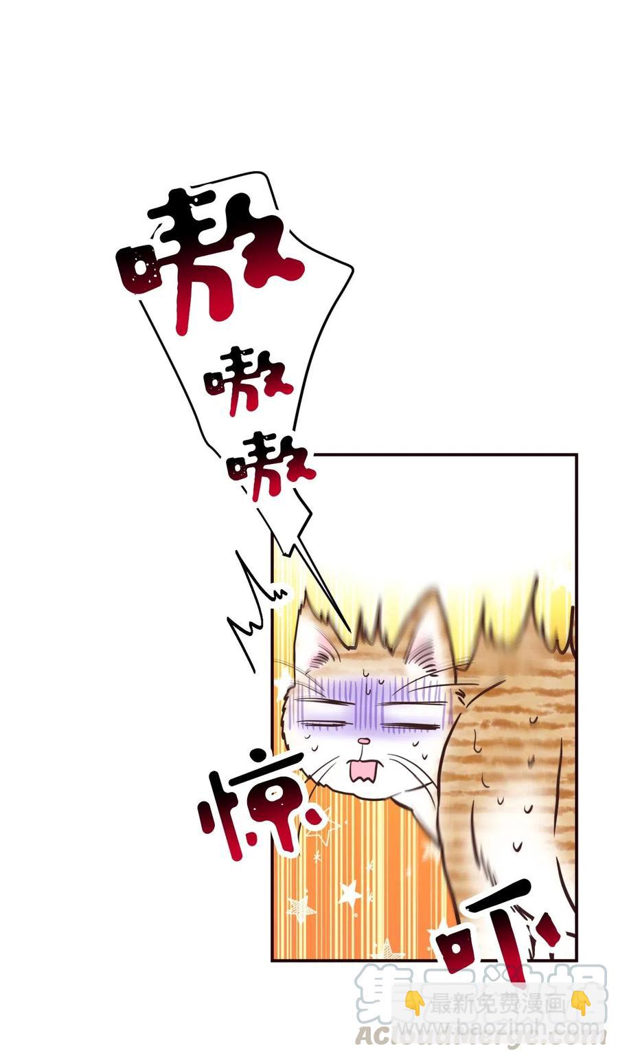 20 爱是表达(1/2)-第20话